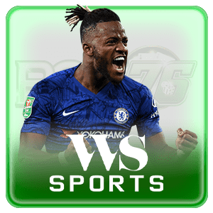 WS SPORTS